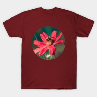 Bee Collecting Pollen Photograph T-Shirt